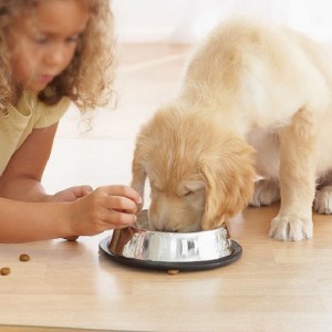 2022 Amazon Hot Sale Chair Mat для защиты от лиственного пола Прозрачный PP Office Dest Mat Stult Mat