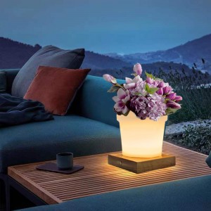 RGB Color Manege Led Led Plant Pot Stable Lamp Touch Control, Современные простые пластиковые цветочные настольные лампы с простым писателем с твердым дере...