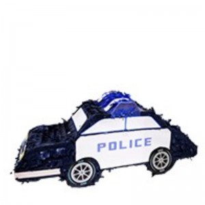 автомобиль пината