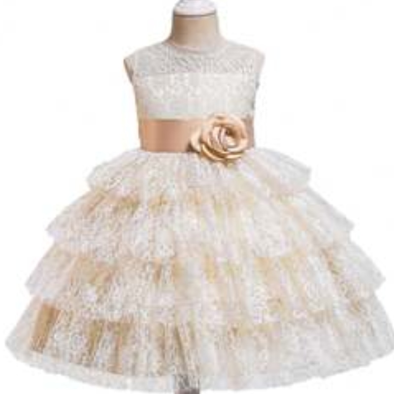 Baige New Children \\ Princess Dress Fring Loined Lieven Lievensed Randeveless Wedding Girld Sward Plays 3 - 49 штук