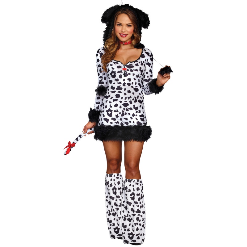 DALMATION DARLING