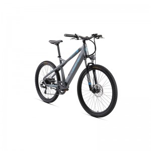 ТЕМНАЯ ЛОШАДКА