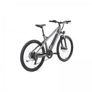 ТЕМНАЯ ЛОШАДКА