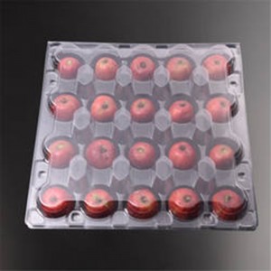 ПЕТВОДИТЕЛЬНАЯ ПРОВАРИНАЯ ПЛАСТИКА