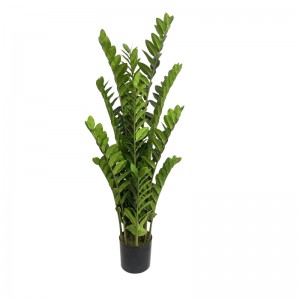 Денежное дерево