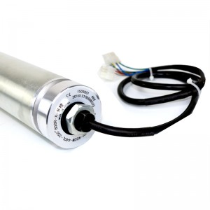 Прямо через 50/60 миниатюрный электрический ролик DC безмолв с бесщеточным оцинкованным двигателем 220 В 380 В ролик из нержавеющей ст...