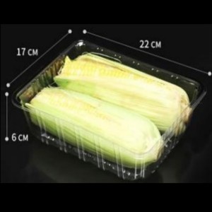 Нет укрытия глубокого лотка 220*170*60 мм hgf-2217