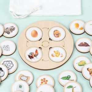 Деревянное просветление детей \\\\\\\\