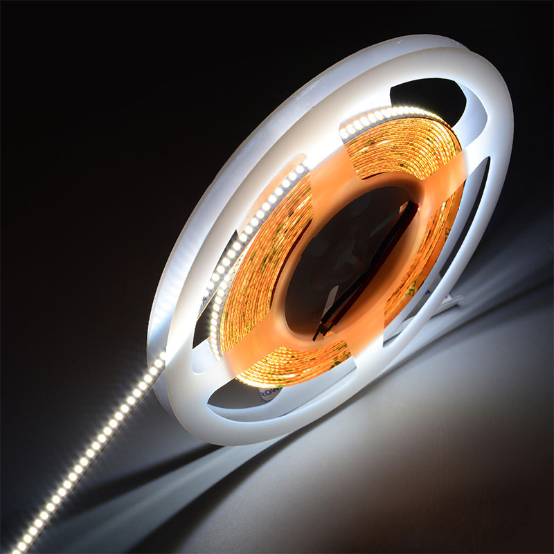 2216 300LEDS/M Гибкий светодиодный свет