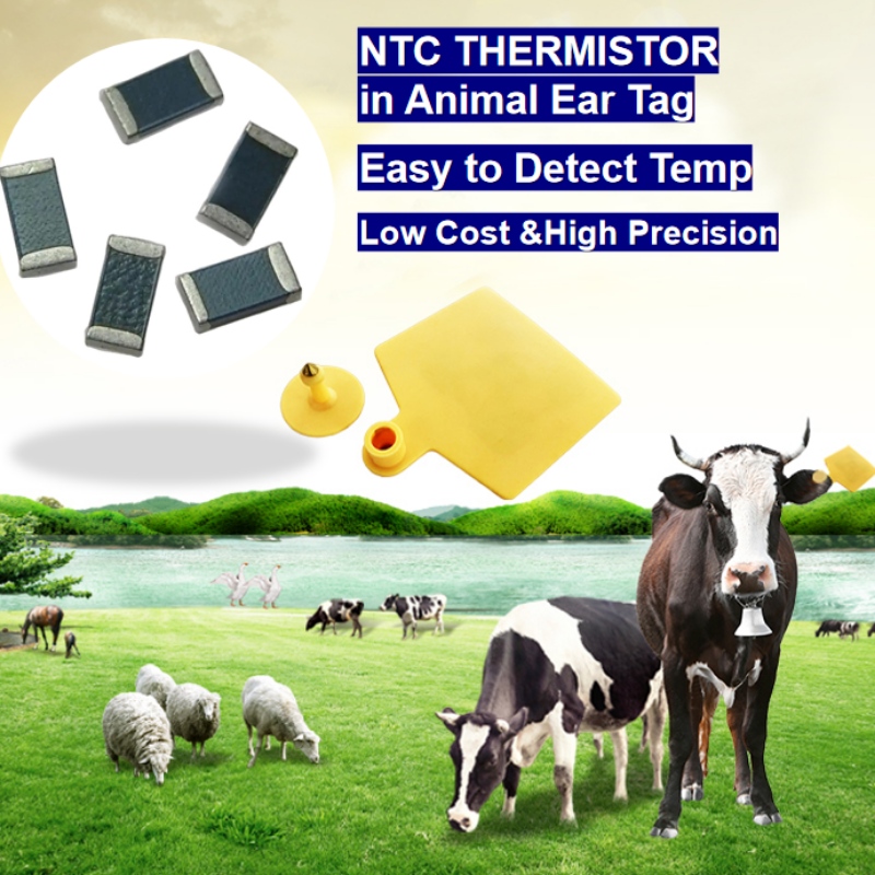 NTC Thermistor Dempret Dempret Dempret in Intelligent Freeding Tag Tag