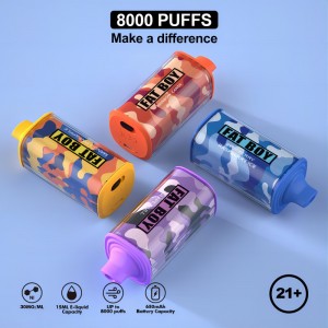 Effworld Reload 8000 Puffs Fluum Vape Juice E Жидкий вольт-вольт Тип-C Перезаряжаемый одноразовый вейп
