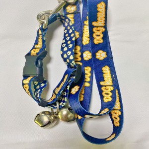 Повод для домашних животных