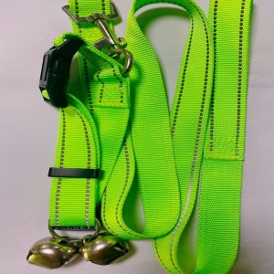 Повод для домашних животных