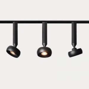 Магнит лампы магнитной орбиты