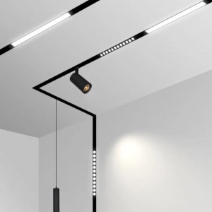 Магнит лампы магнитной орбиты