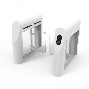 Ворота Томаса