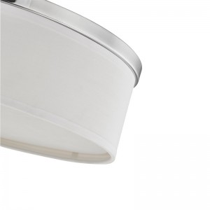 Потолочная лампа Loneybridge Suites Hotel с матовой отделкой никеля в гостях и коридоре