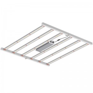 800 Вт 4*4 -футовой