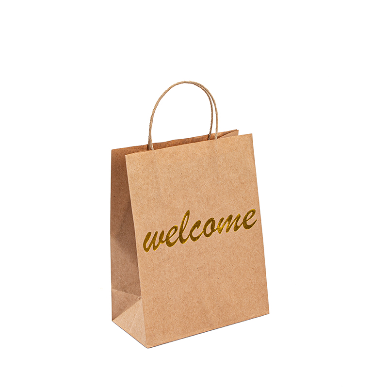 Kraft Retail Bolsas Luxury Paper Bacd с собственным логотипом Kraft Paper Bacd с ручкой