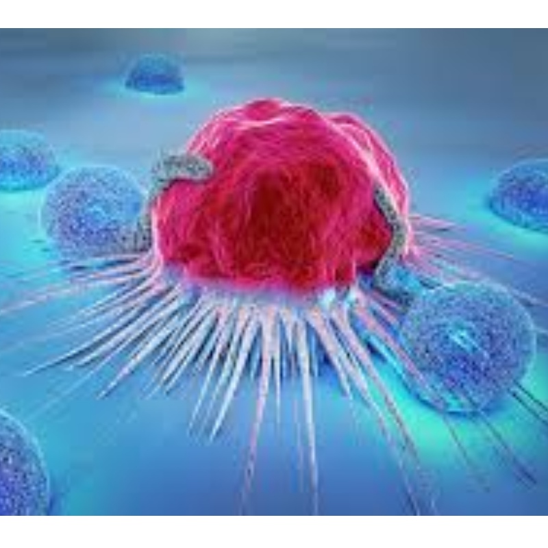 Япония: NMN сопротивляется старению иммунных клеток и ингибирует 71,4% рост опухоли