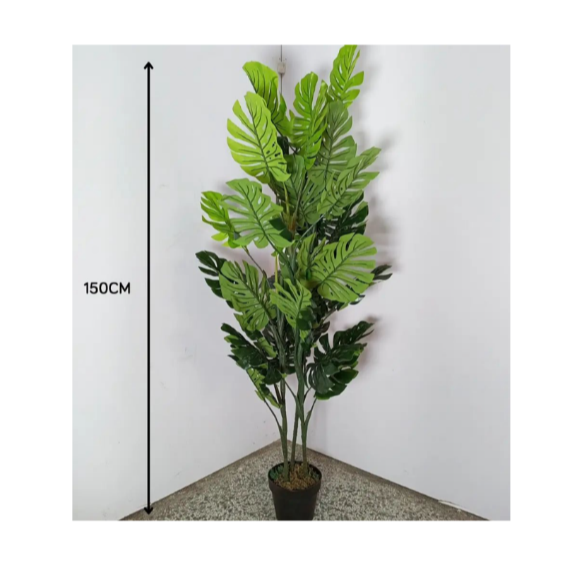 Основные растения