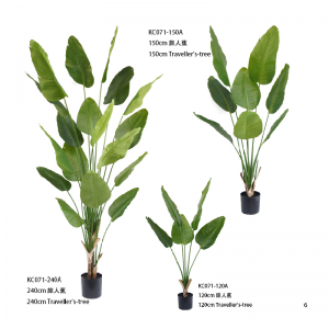 Дерево путешественников