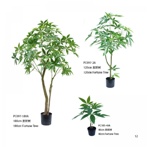 Дерево удачи