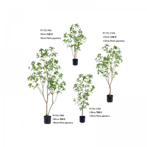 Пиерис японский