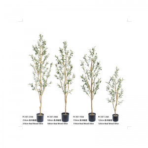 Оливер дерево