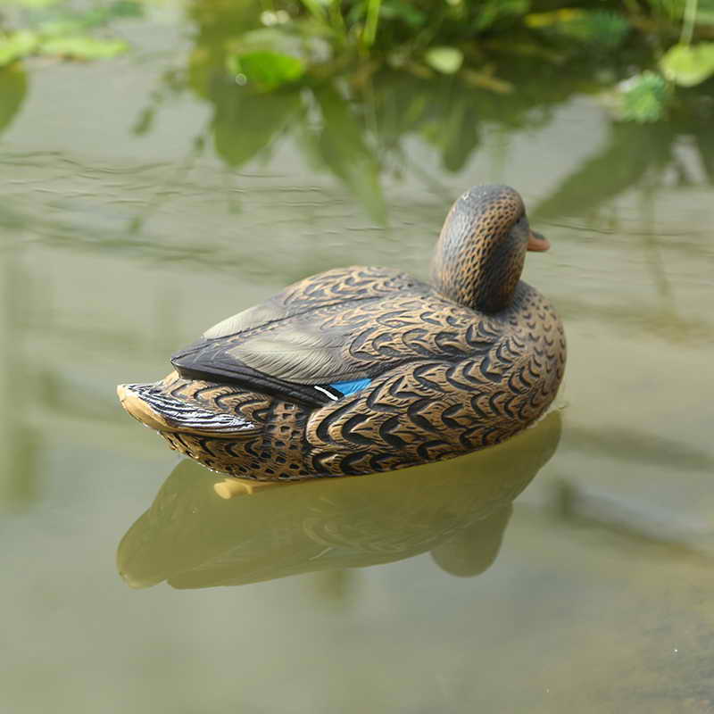 1629336521.jpg duck-2.jpg