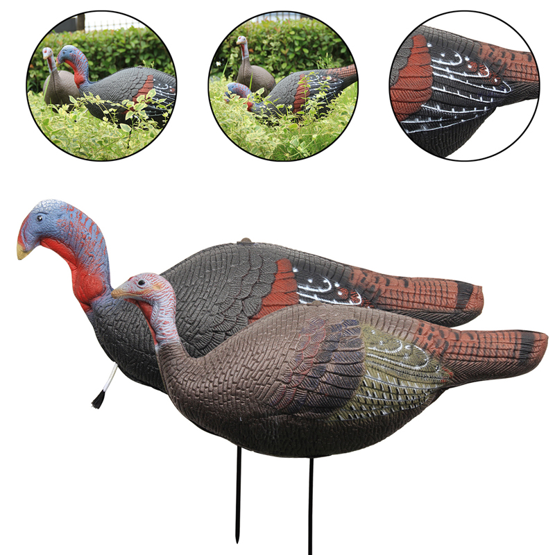 1637800690.jpg 1632623784.jpg